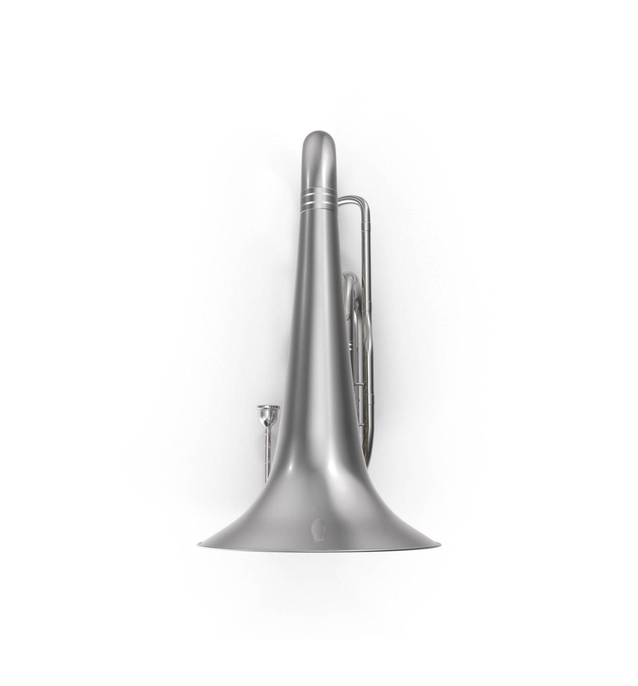 Tuba Blasinstrumente
